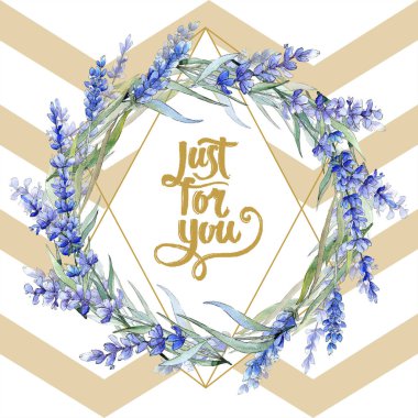 Suluboya mor lavanta çiçeği. Botanik çiçek. Çerçeve kenarlığı süsleme Meydanı. Arka plan, doku, sarıcı desen, çerçeve veya kenarlık için Aquarelle kır çiçeği.