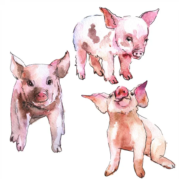 Cochon Rose Animal Sauvage Dans Style Aquarelle Isolé Aquarelle Animal — Photo