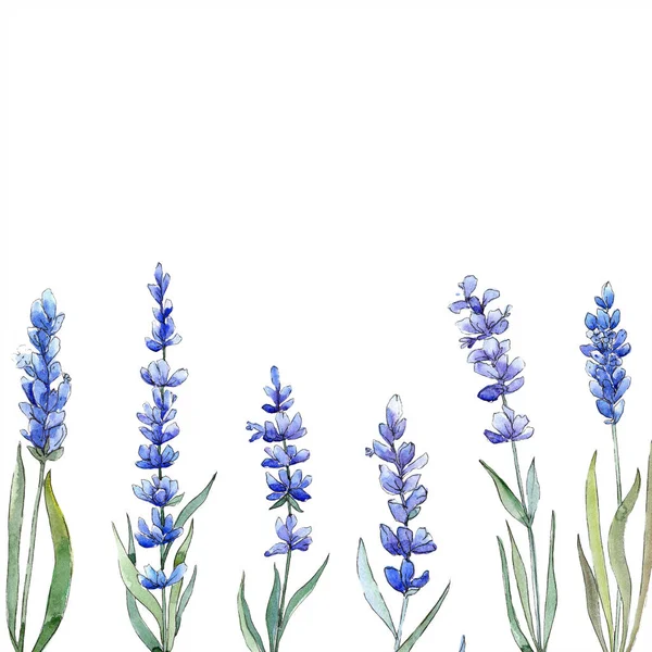 Aquarel Paarse Lavendel Bloem Floral Botanische Bloem Frame Grens Ornament — Stockfoto