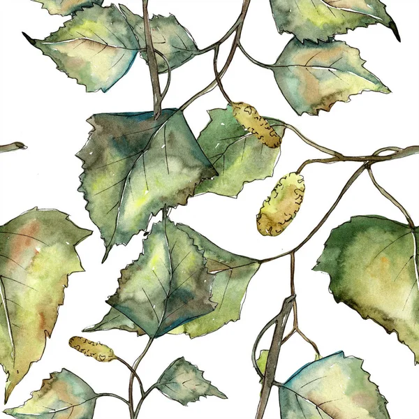 Πράσινο Φθινόπωρο Φύλλα Σημύδας Φύλλο Φυτού Βοτανικός Κήπος Floral Φύλλωμα — Φωτογραφία Αρχείου