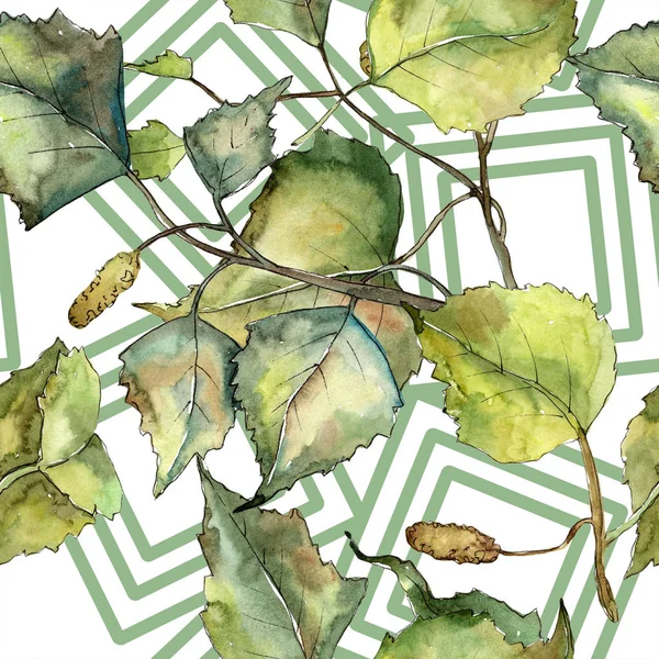 Πράσινο Φθινόπωρο Φύλλα Σημύδας Φύλλο Φυτού Βοτανικός Κήπος Floral Φύλλωμα — Φωτογραφία Αρχείου
