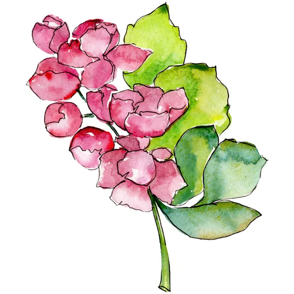 Akwarela Kolorowy Bukiet Tropikalny Kwiat Botaniczny Kwiat Kwiatowy Element Ilustracja — Zdjęcie stockowe