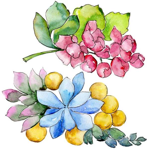 Sulu Boya Renkli Tropikal Buket Çiçek Botanik Çiçek Zole Illüstrasyon — Stok fotoğraf