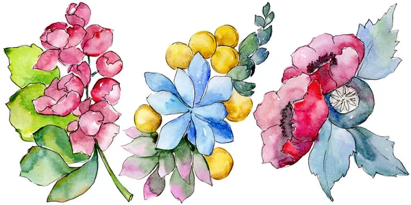 Aquarelle Coloré Bouquet Tropical Fleur Fleur Botanique Florale Élément Illustration — Photo