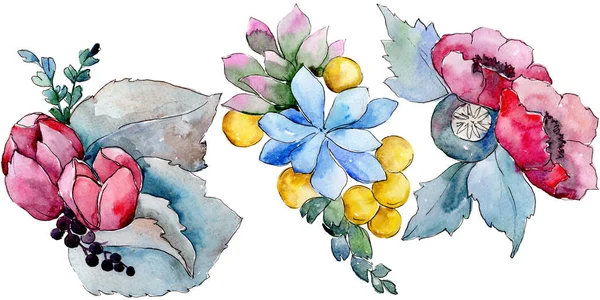 Akwarela Kolorowy Bukiet Tropikalny Kwiat Botaniczny Kwiat Kwiatowy Element Ilustracja — Zdjęcie stockowe