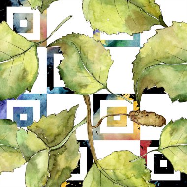 Yeşil sonbahar yaprak huş ağacı. Yaprak bitki botanik bahçe çiçek yaprakları. Sorunsuz arka plan deseni. Kumaş duvar kağıdı yazdırma doku. Aquarelle yaprak arka plan, doku, sarıcı desen, kenarlık için.