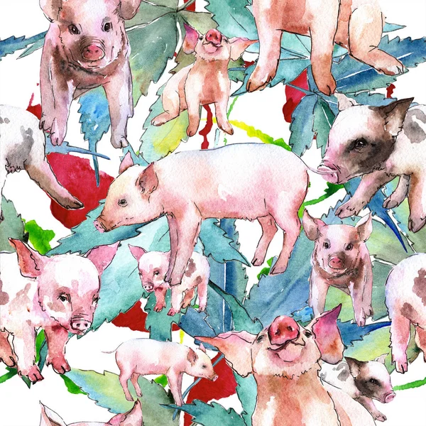 Cerdo Rosa Salvaje Animal Estilo Acuarela Aislado Patrón Fondo Sin —  Fotos de Stock