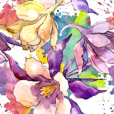 Sulu boya renkli aquilegia çiçek. Botanik çiçek. Sorunsuz arka plan deseni. Kumaş duvar kağıdı yazdırma doku. Arka plan, doku, sarıcı desen, kenarlık için Aquarelle kır çiçeği.