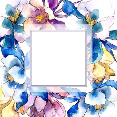 Sulu boya renkli aquilegia çiçek. Botanik çiçek. Çerçeve kenarlığı süsleme Meydanı. Arka plan, doku, sarıcı desen, çerçeve veya kenarlık için Aquarelle kır çiçeği.