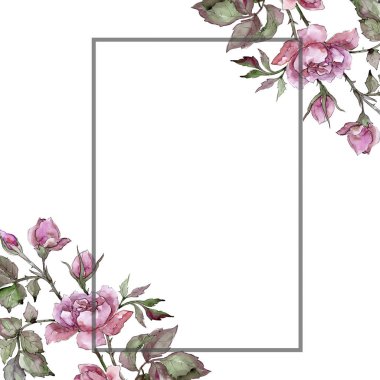 Sulu boya pembe buket Şakayık Çiçeği. Botanik çiçek. Çerçeve kenarlığı süsleme Meydanı. Arka plan, doku, sarıcı desen, çerçeve veya kenarlık için Aquarelle kır çiçeği.