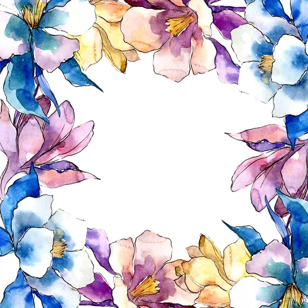 Ακουαρέλα Aquilegia Πολύχρωμο Λουλούδι Floral Βοτανικό Λουλούδι Πλατεία Στολίδι Περίγραμμα — Φωτογραφία Αρχείου