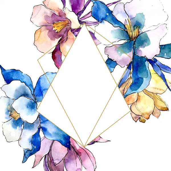 Watercolor Colorful Aquilegia Flower Floral Botanical Flower Frame Border Ornament — Stock Photo, Image