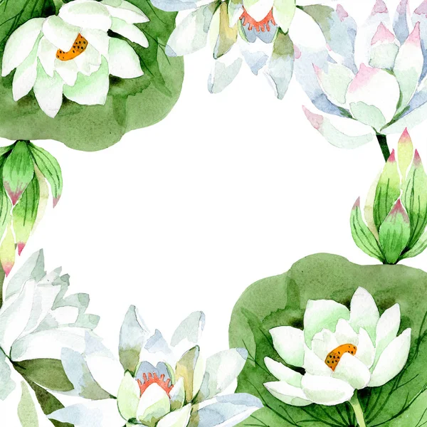 Acuarela Flor Loto Blanco Flor Botánica Floral Marco Borde Ornamento — Foto de Stock