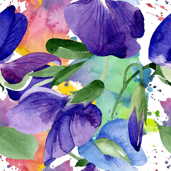 Květinový Akvarel Fialový Sweet Pea Květinové Botanické Květin Vzor Bezešvé — Stock fotografie