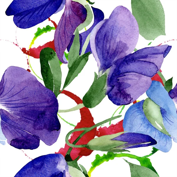 Watercolor Purple Sweet Pea Flower Floral Botanical Flower Seamless Background — Stock Photo, Image