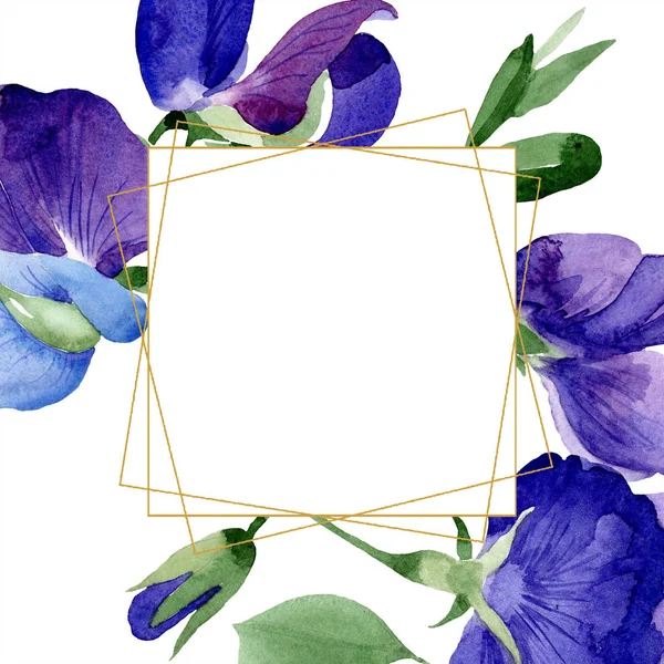 水彩紫甜豌豆花 花卉植物花 框边框装饰广场 包装图案 框架或边框的水彩画野花 — 图库照片