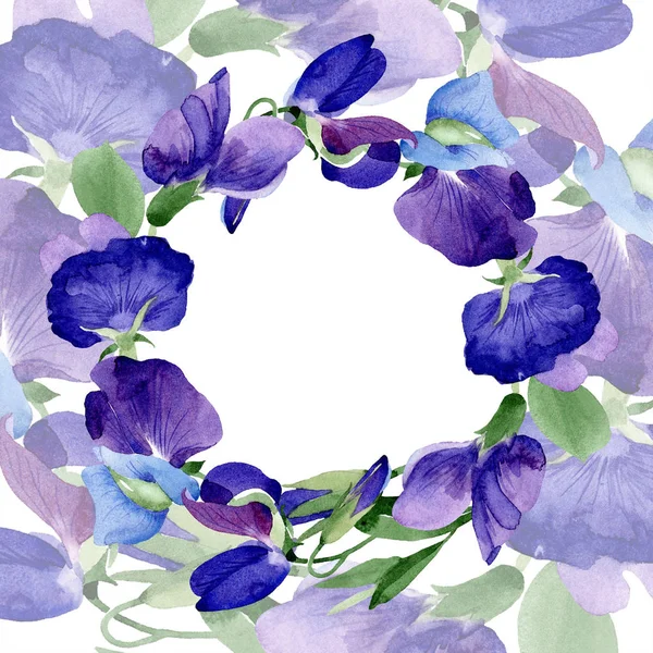 Acuarela Púrpura Flor Guisante Dulce Flor Botánica Floral Marco Borde —  Fotos de Stock