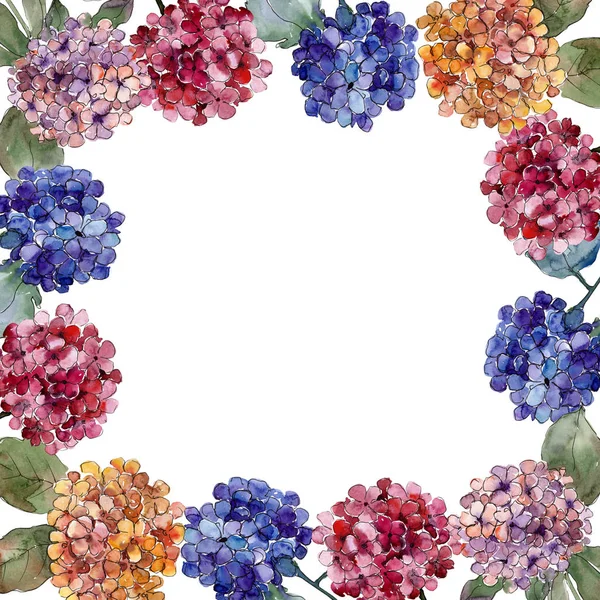 Ακουαρέλα Gortenzia Πολύχρωμα Λουλούδια Floral Βοτανικό Λουλούδι Πλατεία Στολίδι Περίγραμμα — Φωτογραφία Αρχείου