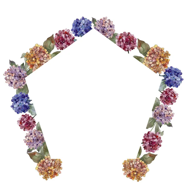 Ακουαρέλα Gortenzia Πολύχρωμα Λουλούδια Floral Βοτανικό Λουλούδι Πλατεία Στολίδι Περίγραμμα — Φωτογραφία Αρχείου