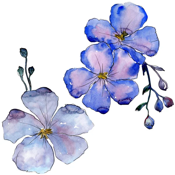 Aquarel Blauwe Vlas Bloemen Floral Botanische Bloem Geïsoleerde Illustratie Element — Stockfoto