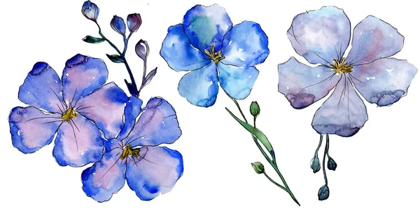 Aquarel Blauwe Vlas Bloemen Floral Botanische Bloem Geïsoleerde Illustratie Element — Stockfoto