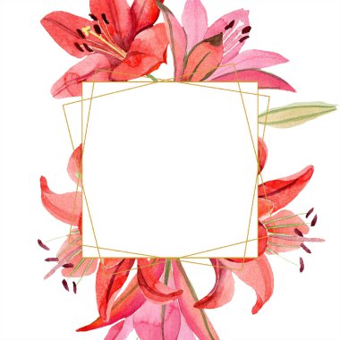 Suluboya kırmızı lily çiçek. Botanik çiçek. Çerçeve kenarlığı süsleme Meydanı. Arka plan, doku, sarıcı desen, çerçeve veya kenarlık için Aquarelle kır çiçeği.