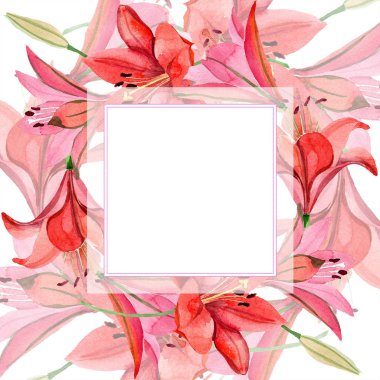 Suluboya kırmızı lily çiçek. Botanik çiçek. Çerçeve kenarlığı süsleme Meydanı. Arka plan, doku, sarıcı desen, çerçeve veya kenarlık için Aquarelle kır çiçeği.