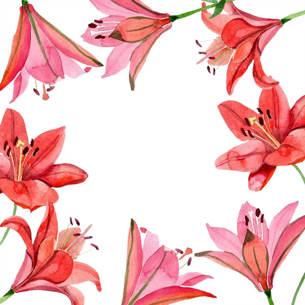 Акварель Красный Цветок Лилии Цветочный Ботанический Цветок Каркас Границы Украшения — стоковое фото