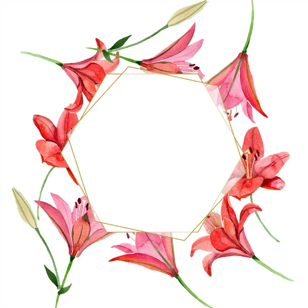 水彩红百合花 花卉植物花 框边框装饰广场 包装图案 框架或边框的水彩画野花 — 图库照片