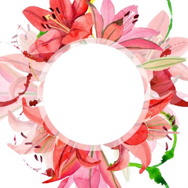 Suluboya kırmızı lily çiçek. Botanik çiçek. Çerçeve kenarlığı süsleme Meydanı. Arka plan, doku, sarıcı desen, çerçeve veya kenarlık için Aquarelle kır çiçeği.