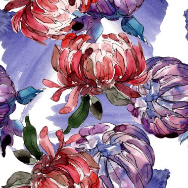 Sulu boya renkli aster çiçek. Botanik çiçek. Sorunsuz arka plan deseni. Kumaş duvar kağıdı yazdırma doku. Arka plan, doku, sarıcı desen, çerçeve veya kenarlık için Aquarelle kır çiçeği.