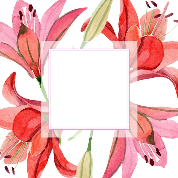 Akvarell Röd Lilja Blomma Blommig Botaniska Blomma Ram Gränsen Prydnad — Stockfoto