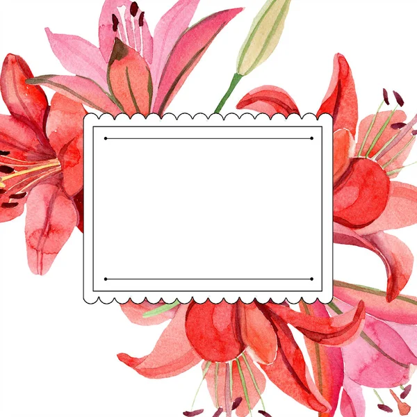 Flor Lírio Vermelho Aquarela Floral Flor Botânica Quadro Borda Ornamento — Fotografia de Stock