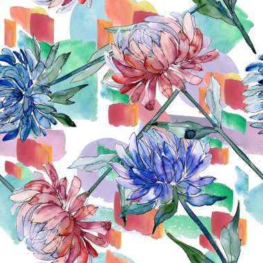 Sulu boya renkli aster çiçek. Botanik çiçek. Sorunsuz arka plan deseni. Kumaş duvar kağıdı yazdırma doku. Arka plan, doku, sarıcı desen, çerçeve veya kenarlık için Aquarelle kır çiçeği.