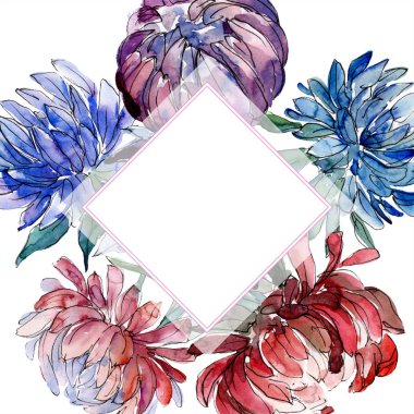 Sulu boya renkli aster çiçek. Botanik çiçek. Çerçeve kenarlığı süsleme Meydanı. Arka plan, doku, sarıcı desen, çerçeve veya kenarlık için Aquarelle kır çiçeği.