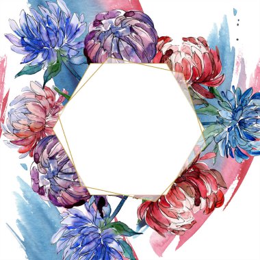 Sulu boya renkli aster çiçek. Botanik çiçek. Çerçeve kenarlığı süsleme Meydanı. Arka plan, doku, sarıcı desen, çerçeve veya kenarlık için Aquarelle kır çiçeği.