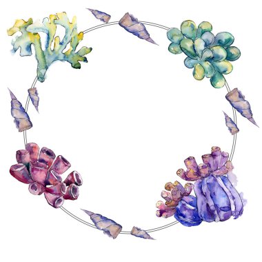 Renkli su sualtı doğa mercan kayalığı. Tropikal bitki deniz ve okyanus su hayat öğesi. Çerçeve kenarlığı süsleme Meydanı.