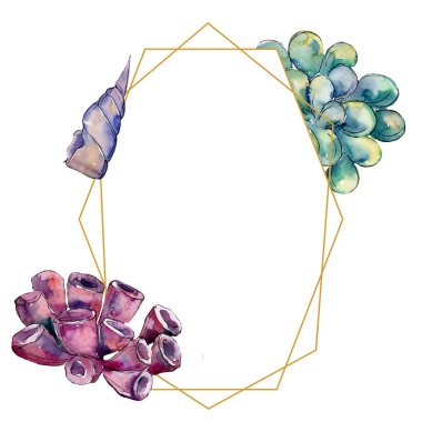 Renkli su sualtı doğa mercan kayalığı. Tropikal bitki deniz ve okyanus su hayat öğesi. Çerçeve kenarlığı süsleme Meydanı.