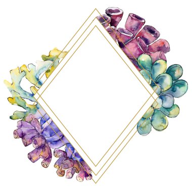 Renkli su sualtı doğa mercan kayalığı. Tropikal bitki deniz ve okyanus su hayat öğesi. Çerçeve kenarlığı süsleme Meydanı.