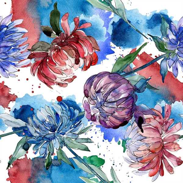 Aquarelle Colorée Aster Fleur Fleur Botanique Florale Modèle Fond Sans — Photo