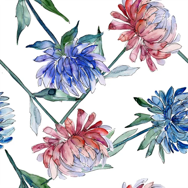Akwarela Aster Kolorowy Kwiat Botaniczny Kwiat Kwiatowy Bezszwowe Tło Wzór — Zdjęcie stockowe