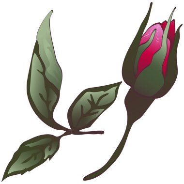 Kır çiçeği kırmızı gül çiçek izole bir vektör tarzı. Arka plan, doku, sarıcı desen, çerçeve veya kenarlık için vektör çiçek.