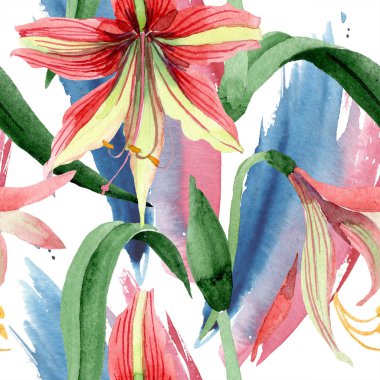 Suluboya kırmızı hippeastrum çiçek. Botanik çiçek. Sorunsuz arka plan deseni. Kumaş duvar kağıdı yazdırma doku. Arka plan, doku, sarıcı desen Aquarelle kır çiçeği.