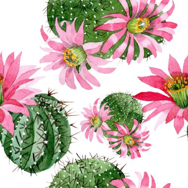 Pembe çiçekli suluboya yeşil kaktüs. Botanik çiçek. Sorunsuz arka plan deseni. Kumaş duvar kağıdı yazdırma doku. Arka plan, doku, sarıcı desen Aquarelle kır çiçeği.