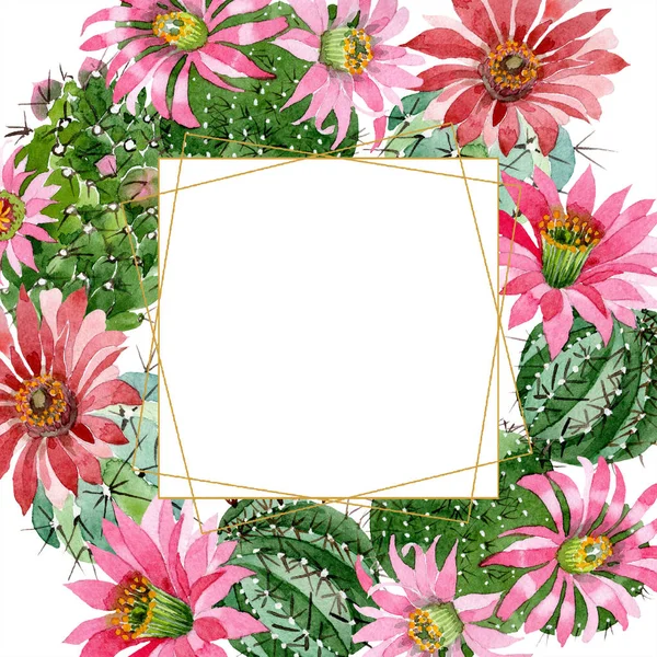ピンクの花の水彩画緑のサボテン 花植物の花 フレーム枠飾りスクエア テクスチャ ラッパー パターン フレームや境界線の Aquarelle ワイルドフラワー — ストック写真