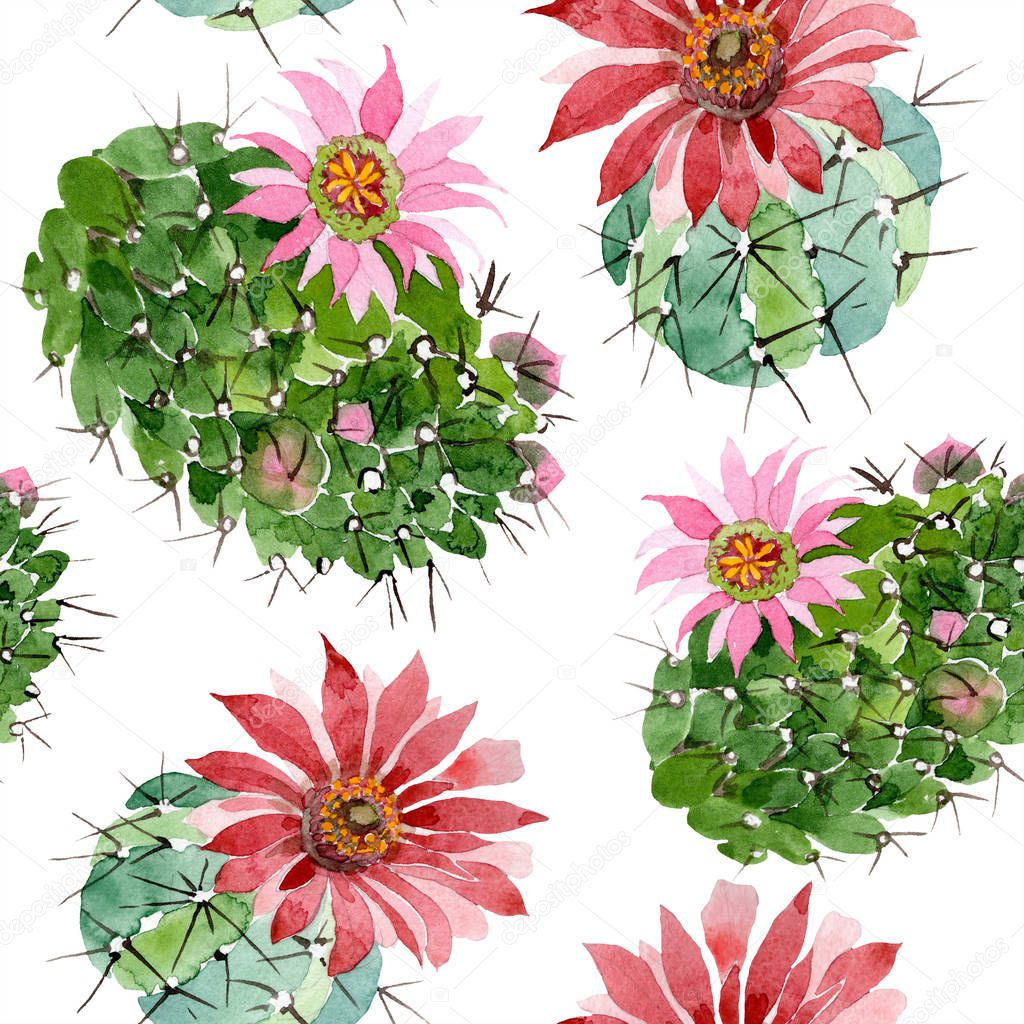 Watercolor green cactus with a pink flower. Floral botanical flower. Seamless background pattern. Fabric wallpaper print texture. Aquarelle wildflower for background, texture, wrapper pattern.