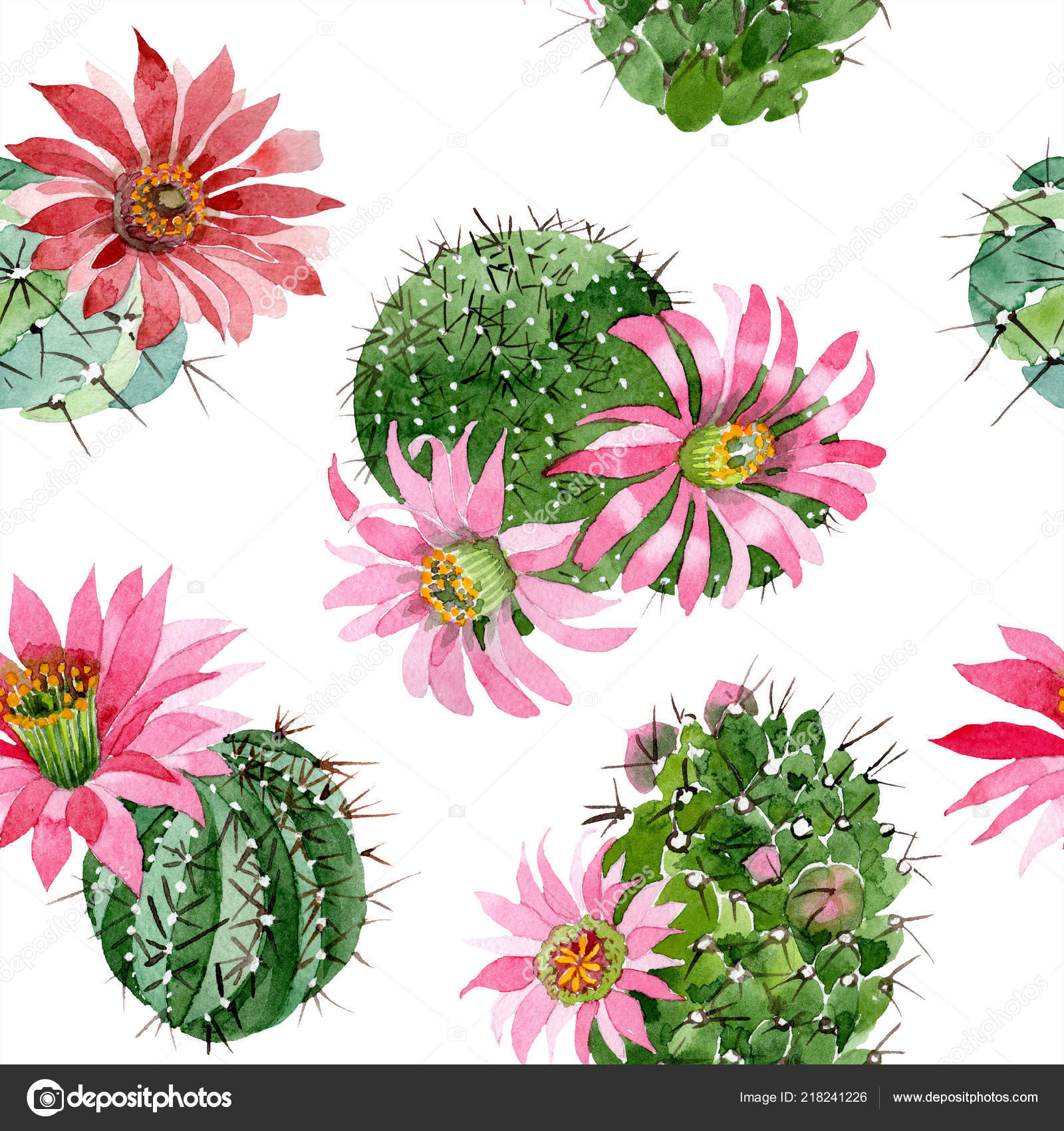 Aquarelle Vert Cactus Avec Une Fleur Rose Fleur Botanique