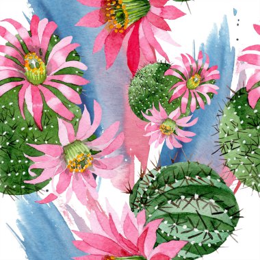 Pembe çiçekli suluboya yeşil kaktüs. Botanik çiçek. Sorunsuz arka plan deseni. Kumaş duvar kağıdı yazdırma doku. Arka plan, doku, sarıcı desen Aquarelle kır çiçeği.