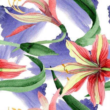 Suluboya kırmızı hippeastrum çiçek. Botanik çiçek. Sorunsuz arka plan deseni. Kumaş duvar kağıdı yazdırma doku. Arka plan, doku, sarıcı desen Aquarelle kır çiçeği.