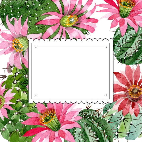 Watercolor Green Cactus Pink Flower Floral Botanical Flower Frame Border — Stock Photo, Image